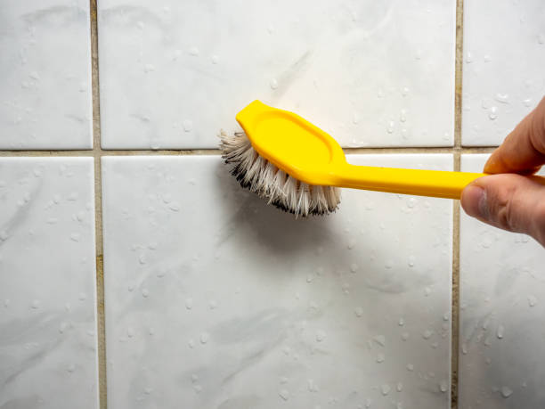 Best Mold Cleaning Services  in West Lake Hills, TX